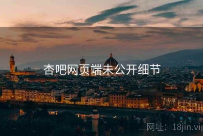 杏吧网页端未公开细节