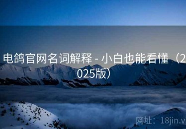 电鸽官网名词解释 - 小白也能看懂（2025版）