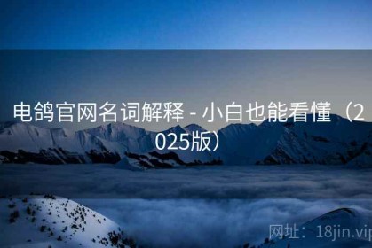 电鸽官网名词解释 - 小白也能看懂（2025版）