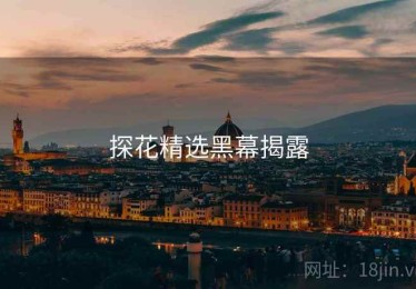 探花精选黑幕揭露