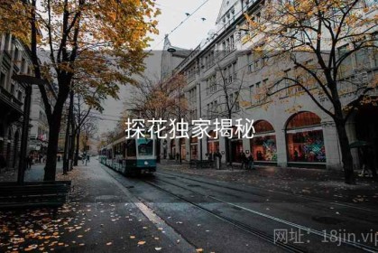 探花独家揭秘