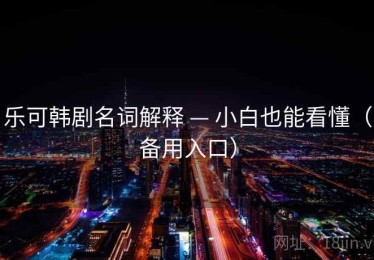乐可韩剧名词解释 — 小白也能看懂（备用入口）
