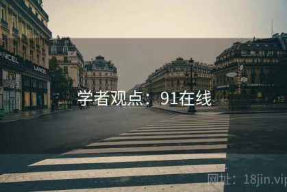 学者观点：91在线