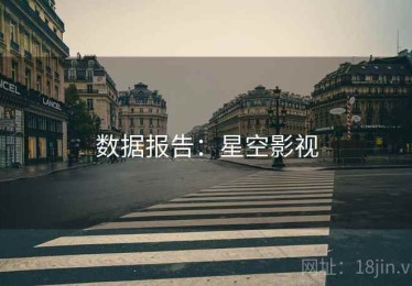 数据报告：星空影视