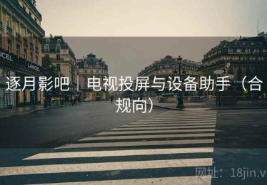 逐月影吧｜电视投屏与设备助手（合规向）