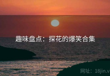 趣味盘点：探花的爆笑合集