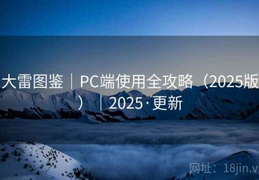 大雷图鉴｜PC端使用全攻略（2025版）｜2025·更新