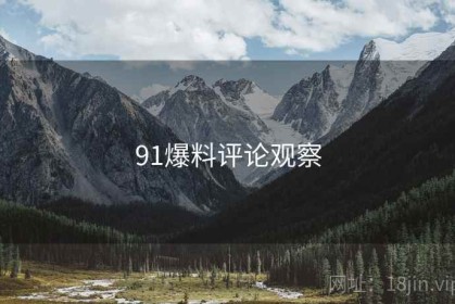91爆料评论观察