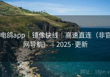 电鸽app｜镜像快线｜高速直连（非官网导航）｜2025·更新