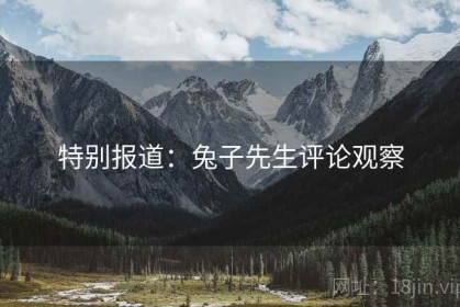 特别报道：兔子先生评论观察