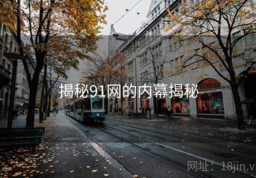 揭秘91网的内幕揭秘