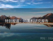 特别报道：91黑料研究报告