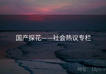 国产探花——社会热议专栏