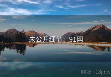 未公开细节：91网