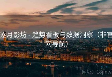 逐月影坊 - 趋势看板与数据洞察（非官网导航）