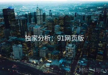 独家分析：91网页版