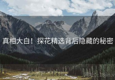 真相大白！探花精选背后隐藏的秘密