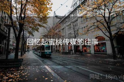 回忆起蜜桃传媒的往事