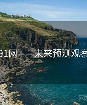 91网——未来预测观察