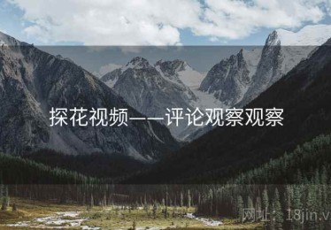 探花视频——评论观察观察