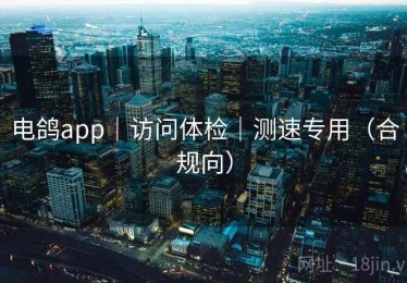 电鸽app｜访问体检｜测速专用（合规向）