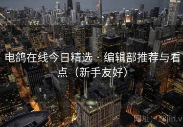 电鸽在线今日精选 · 编辑部推荐与看点（新手友好）