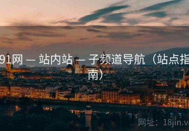 91网 — 站内站 — 子频道导航（站点指南）