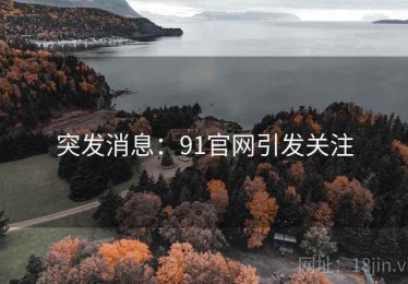 突发消息：91官网引发关注